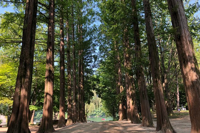 Mt. Seorak+Nami Island+Garden of Morning Calm Day Trip from Seoul - Who should book this experience