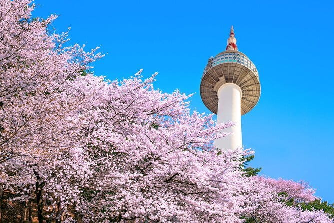 N Seoul Tower Observatory Ticket South Korea - Namsan Mountain Gives Seoul a Fine First Look