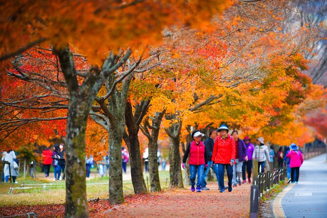 Naejangsan National Park Autumn Foliage One Day Tour from Busan - Why Naejangsan makes a worthwhile day trip