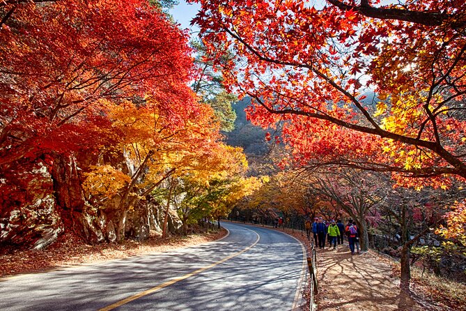 Naejangsan National Park Autumn Foliage One Day Tour from Busan - Naejangsa Temple and its long past