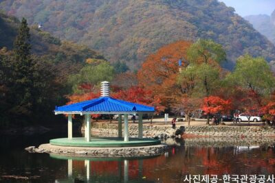 Naejangsan National Park Autumn Foliage One Day Tour from Busan