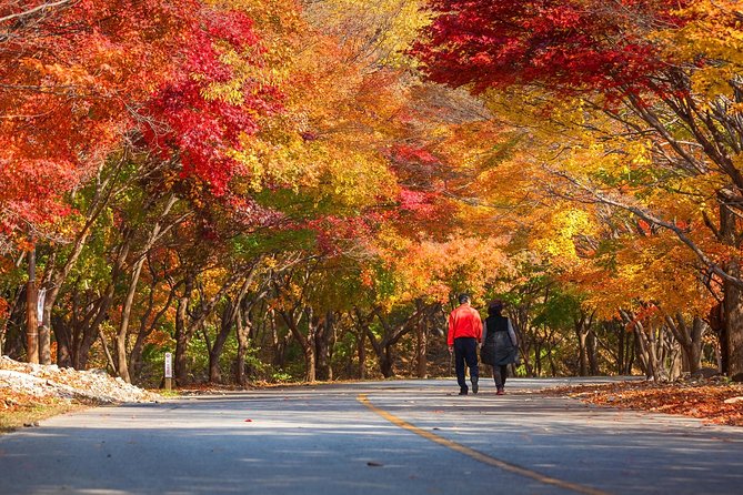 Naejangsan National Park Autumn Foliage One Day Tour from Busan - Five hours for photos, walking, and lunch