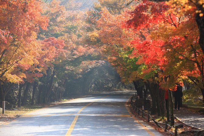 Naejangsan National Park Autumn Foliage One Day Tour from Busan - How much value does the $62 price offer?