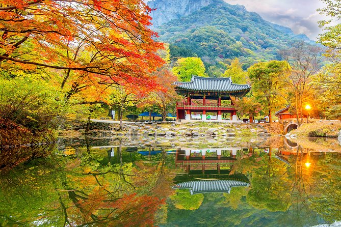 Naejangsan National Park Autumn Foliage One Day Tour from Busan - The guides and the group experience