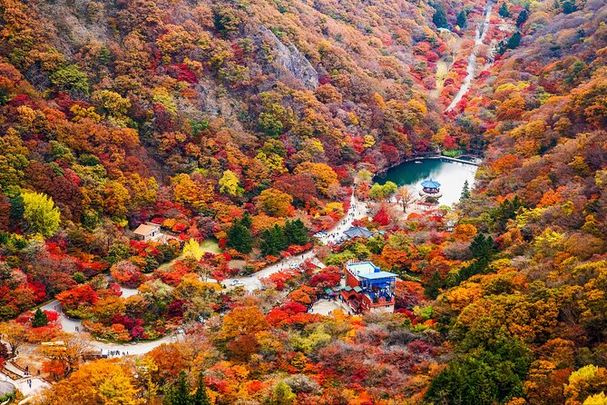 Naejangsan National Park Autumn Foliage One Day Tour from Seoul - Five hours among Naejangsan’s autumn leaves