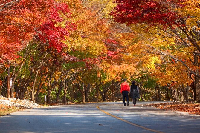Naejangsan National Park Autumn Foliage One Day Tour from Seoul - What the $46.29 price really covers