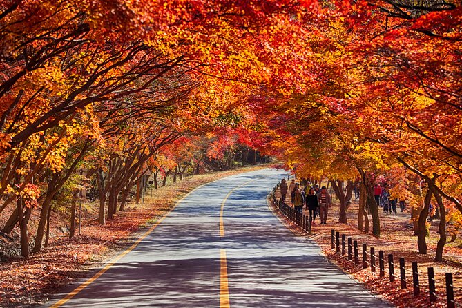 Naejangsan National Park Autumn Foliage One Day Tour from Seoul - Who will enjoy this tour most