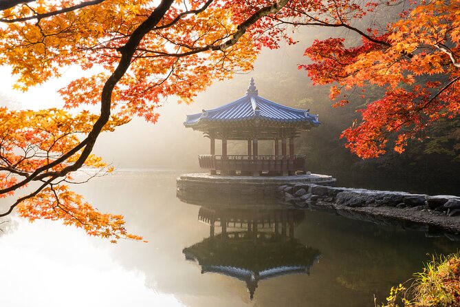 Naejangsan National Park Autumn Foliage One Day Tour from Seoul - Pickup, staff, and the first briefing