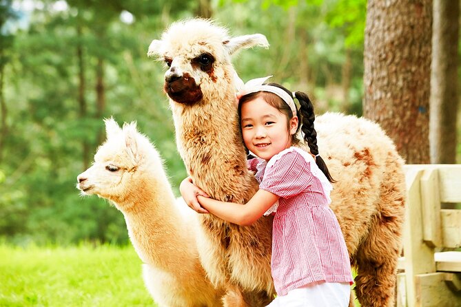 Nami+Alpaca+Garden of Morning Calm (+Rail Bike Option) - Petite France needs a clarification before booking