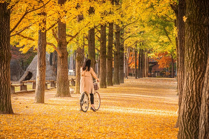 Nami Island and Begonia Bird Park Tour from Seoul (opt Railbike) - Why this Gapyeong day trip works