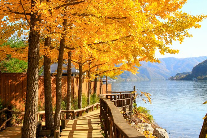 Nami Island and Begonia Bird Park Tour from Seoul (opt Railbike) - Lunch and daily expenses