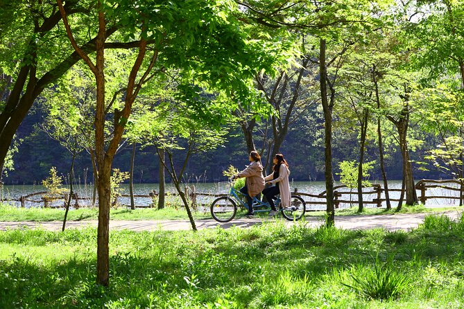 Nami Island and Petite France & Italian Village Day Trip from Seoul - The best season for this day trip