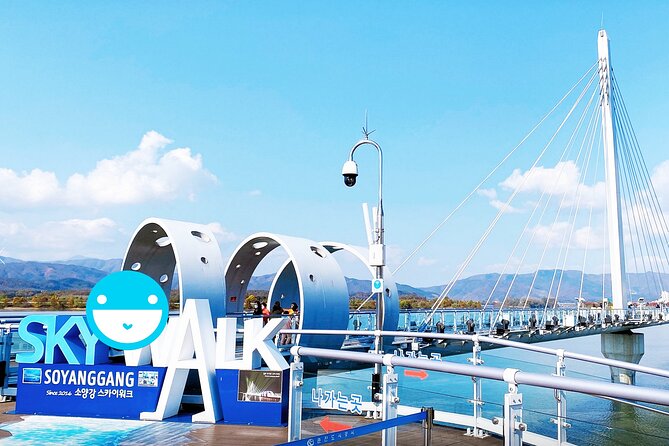 Nami Island, Cable Car, Garden of Morning Calm Panoramic Tour - Who will enjoy this tour most