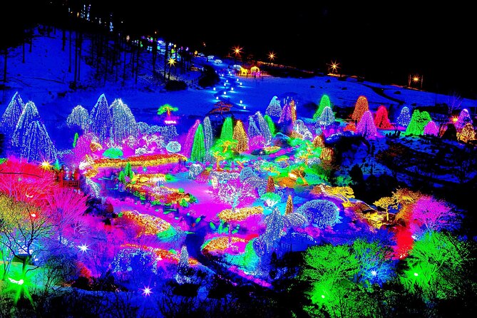 Nami Island, Cable Car, Garden of Morning Calm Panoramic Tour - Best seasons and practical advice