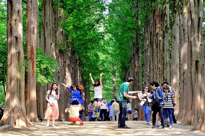 Nami Island, Cable Car, Garden of Morning Calm Panoramic Tour - Samaksan cable car adds the big views