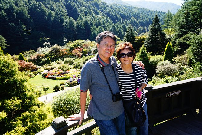 Nami Island from Seoul: Petit France and Garden of Morning Calm - Why this private day trip works well from Seoul