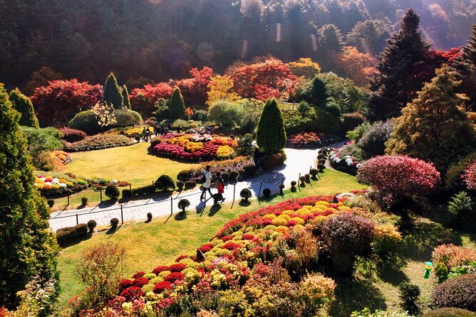 Nami Island & Garden of Morning Calm & Gangchon Railbike Tour - Group Size, Guides, and Practical Comfort