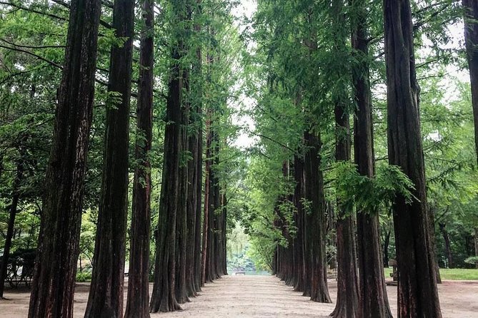 Nami Island & Nearby Attractions : Charter Van Tour With Driver - Gangchon Rail Park adds movement to the day