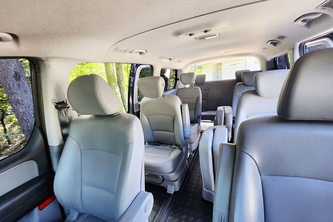 Nami Island & Nearby Attractions : Charter Van Tour With Driver - Why the private van can be worth the price