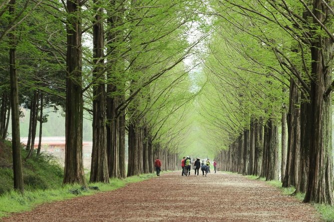 Nami Island& Petite France& Garden of Morning Calm& Italian Village One-Day Tour - The Garden of Morning Calm brings the day to a peaceful close