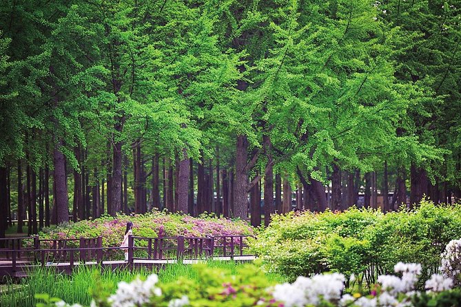 Nami Island& Petite France& Garden of Morning Calm& Italian Village One-Day Tour - Timing, crowds, and the cost of convenience