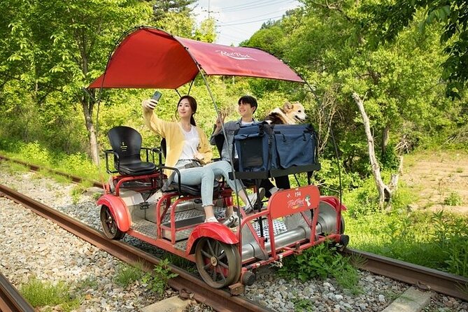 Nami Island & Petite France & Italian Village & Gangchon Rail Bike One-Day Tour - What the 10-hour schedule really feels like