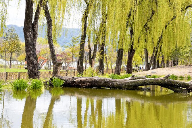 Nami Island & Petite France with Italian Village One-Day Tour - Timing, traffic, and the 40-person group