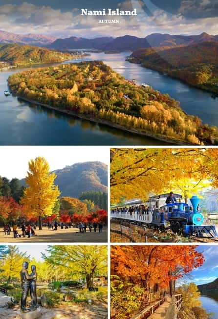Nami Island, Railbike & Alpaca Garden Day Trip from Seoul - What the $78 price really covers