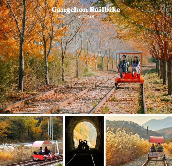 Nami Island, Railbike & Alpaca Garden Day Trip from Seoul - Nami Island and the autumn paths
