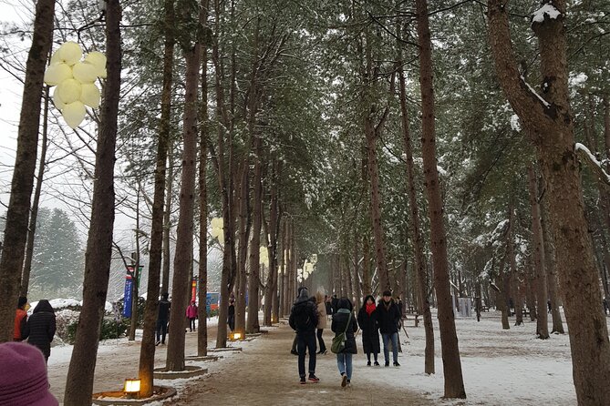 Nami Island + Ski Tour - What the guide adds