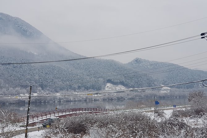 Nami Island + Ski Tour - Who should book this tour?
