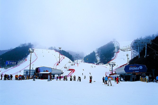 Nami Island + Ski Tour - Elysian Gangchon: two hours in the snow