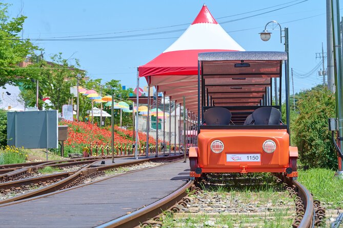 Nami Island Trip with Petite France & Italian Village and Gangchon Rail Bike - What the $80.95 price really buys