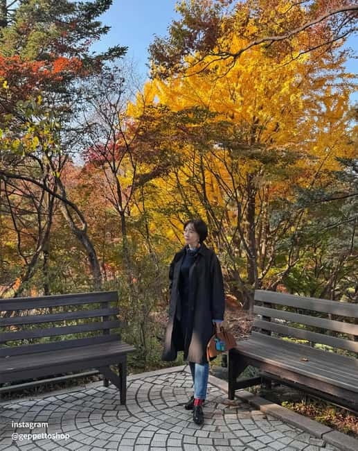 Nami & Maple Road & Theatre des Lumieres Day Tour from Seoul - A guide-led day with helpful personal service