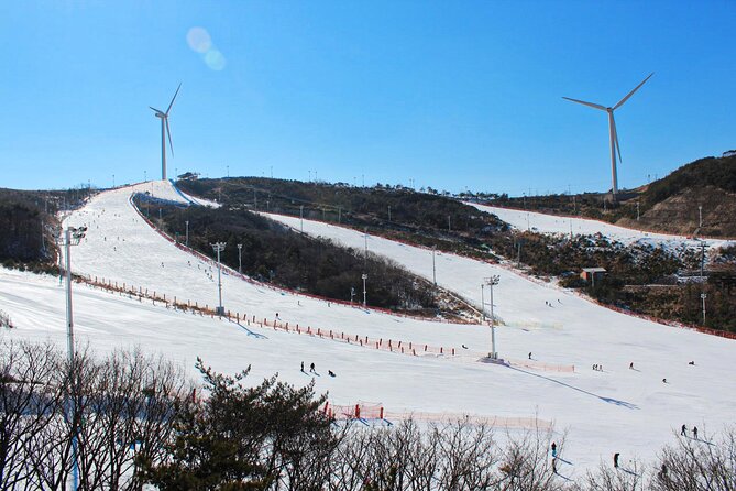 [OFFICIAL] Eden Valley Resort Winter Ski Day Tour from Busan - What the ski lesson and gear arrangement are really like