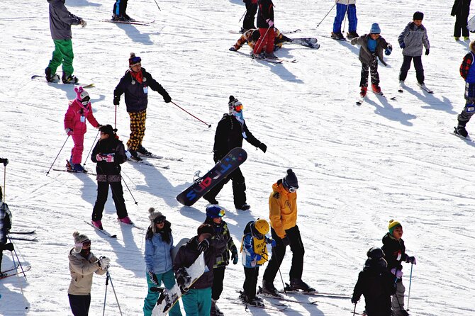 [OFFICIAL] Eden Valley Resort Winter Ski Day Tour from Busan - Is $38.57 a good price?