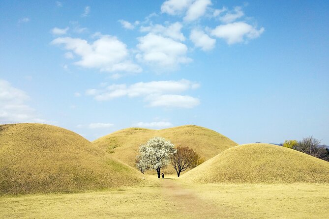 Old Korea Thousand History Tour of Gyeongju from Busan - Hwangridan-gil gives the day breathing room
