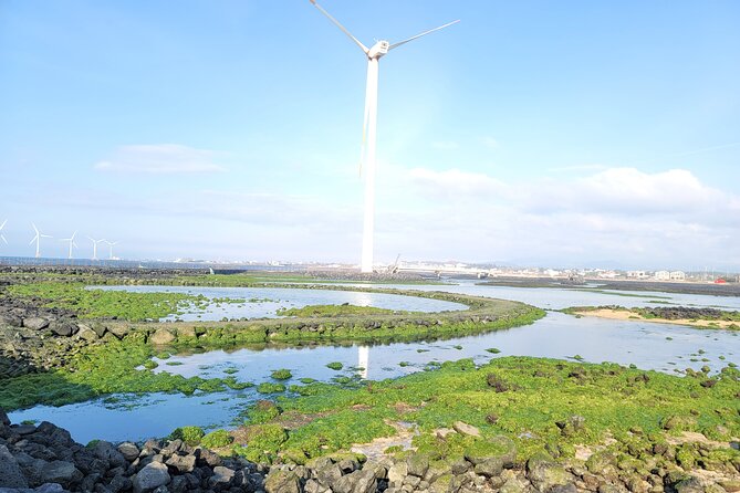 One day private Customized jeju tour - All Area in jeju island - O’sulloc Tea Museum and the Western Coast