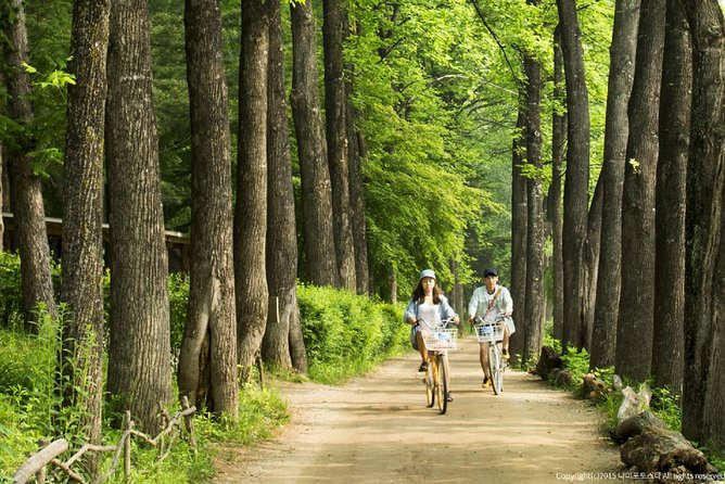One Day Private Tour-Nami, Petite and Garden of Morning Calm - Is $309 per person a fair price?