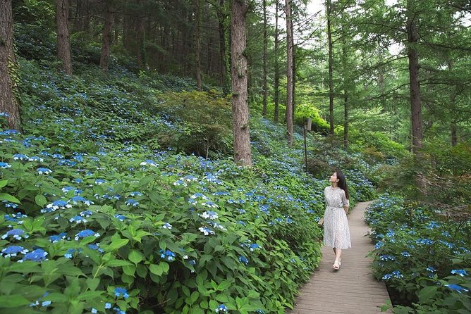 One Day Private Tour-Nami, Petite and Garden of Morning Calm - Timing, comfort, and who should book