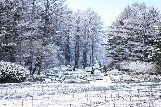 One Day Private Tour-Nami, Petite and Garden of Morning Calm - Should you book this Nami Island day trip?