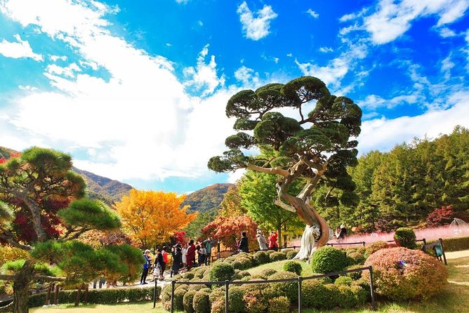 One Day Private Tour-Nami, Petite and Garden of Morning Calm - Petite France: one hour in a Korean French village
