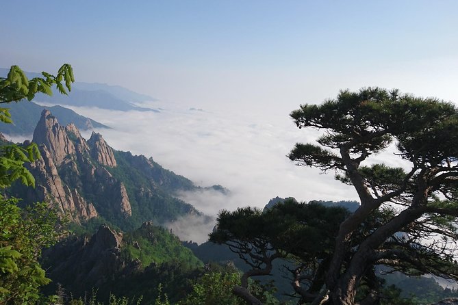 One-Day Tour for stunning Mt.Seoraksan from Seoul - Why Mt. Seoraksan Makes a Worthwhile Day Trip