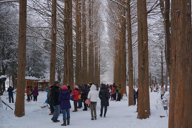 [Perfect Private Tour] Nami island, Petite France and Organic Strawberry Farm - Aram Berry Farm: the most hands-on stop