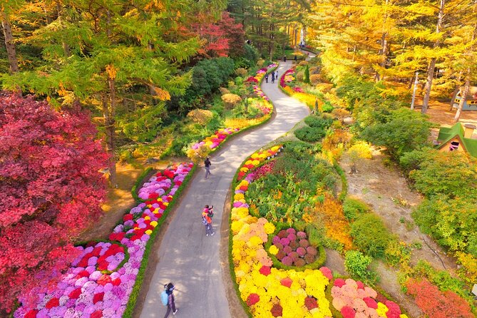 Pocheon Art Valley, Garden & Fruit Picking Day Tour from Seoul - Guides, language support, and the group feel