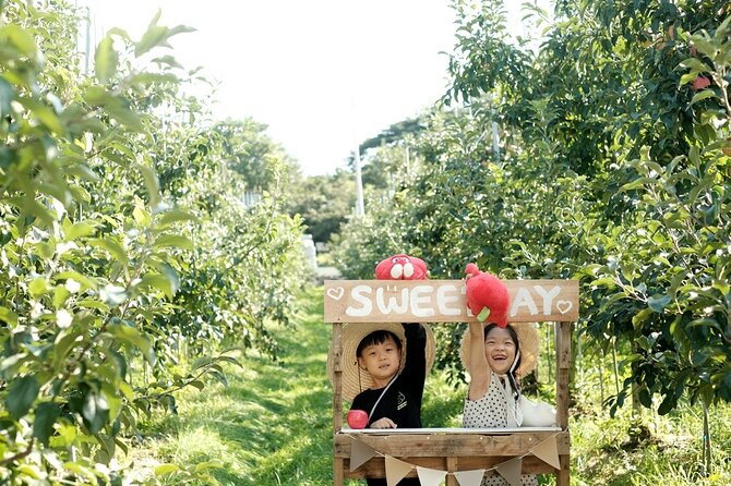 Pocheon Art Valley, Garden & Fruit Picking Day Tour from Seoul - Is $72.38 a fair price?