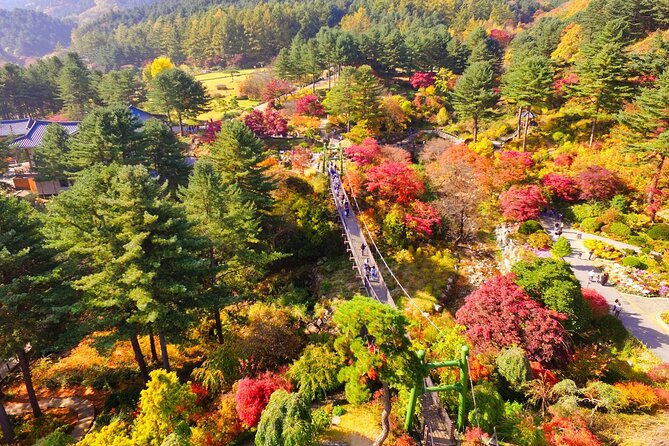 Pocheon Art Valley, Garden & Fruit Picking Day Tour from Seoul - How to make the long day more comfortable