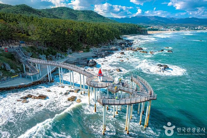 Pohang Highlights & Private Tour with a Licensed guide - K-Drama Locations Around the Sea Village