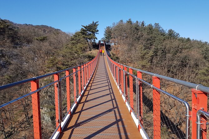Premium Private DMZ Tour & (Suspension Bridge or N-Tower) include lunch - Entering the DMZ and visiting the Third Tunnel