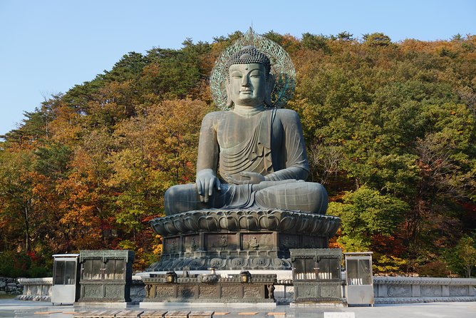 [Premium Private Tour] Mt Seorak & East Sea or Nami island from Seoul - Why this private day trip works from Seoul